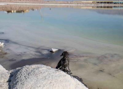 مردم، اصلی ترین عامل در احیای دریاچه ارومیه