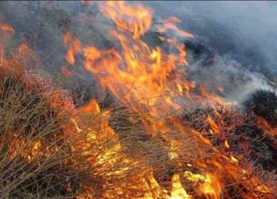 خبرنگاران 95 درصد علت آتش سوزی مراتع و جنگل ها عامل انسانی است