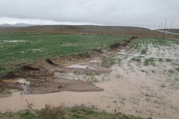 خسارت 330 میلیارد تومانی توفان و سیل به بخش کشاورزی