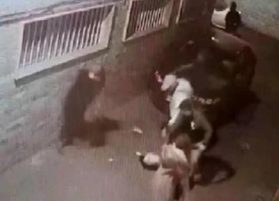 (ویدئو) عاملان زورگیری وحشیانه در تهران دستگیر شدند