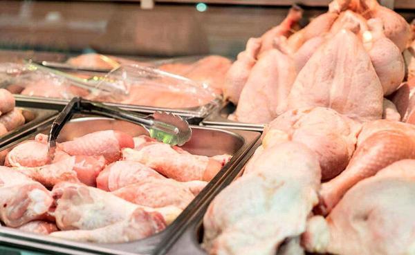 کاهش 7 هزاری قیمت مرغ، 2 شرط برای تامین مرغ در ماه های آینده