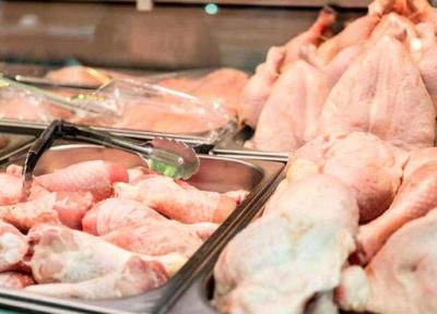 کاهش 7 هزاری قیمت مرغ، 2 شرط برای تامین مرغ در ماه های آینده