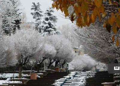 برترین پارک های تهران برای برف بازی
